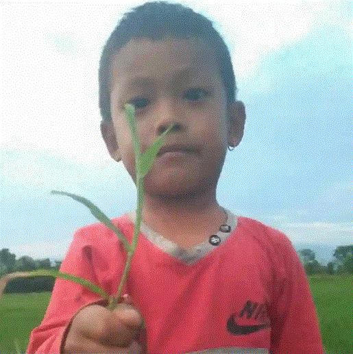 कञ्चनका ७ बर्षिय बालक शनिवार सांझ देखि बेपत्ता